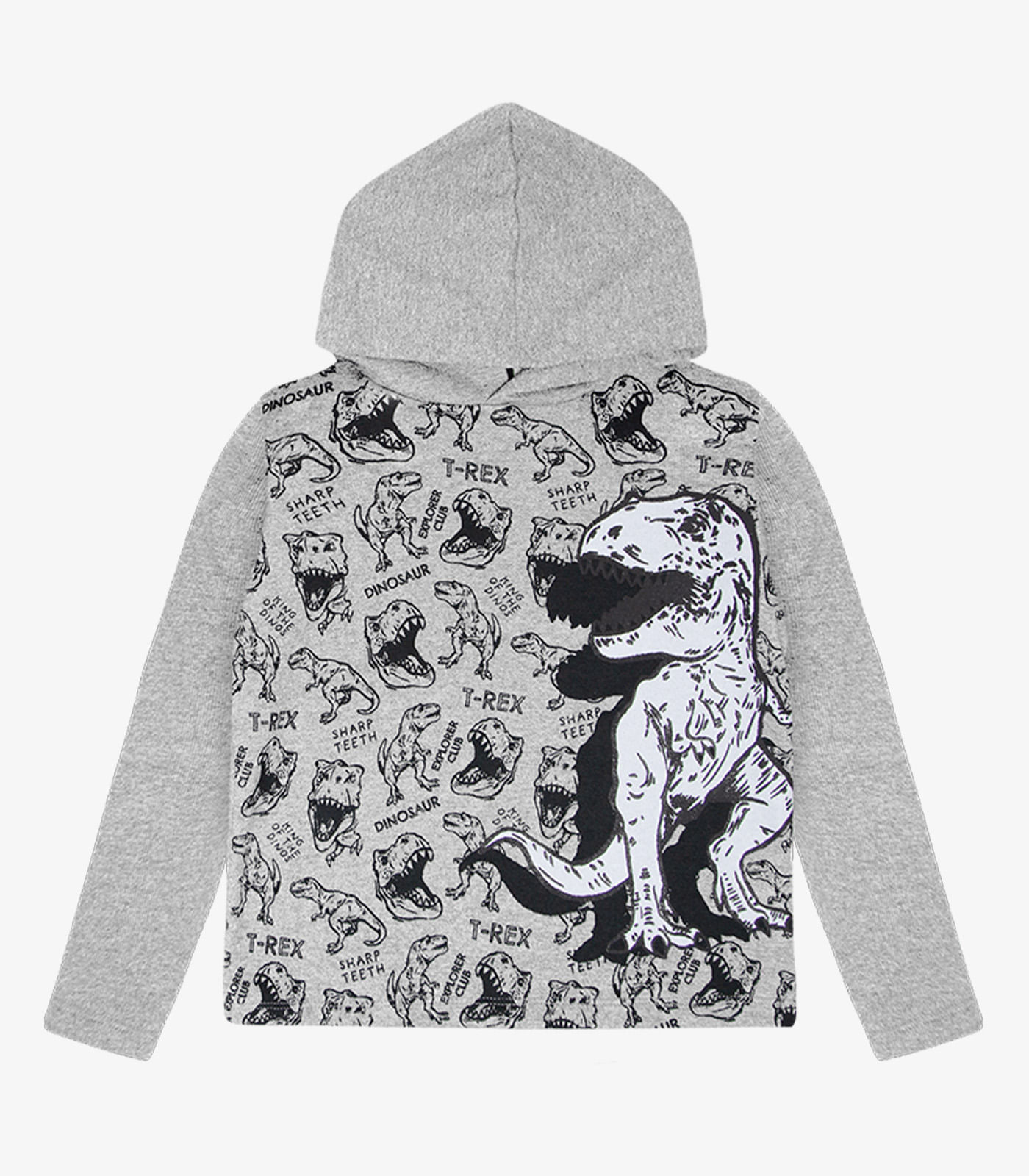 Conjunto Infantil Menino Dino Select Cinza - Imagem 3